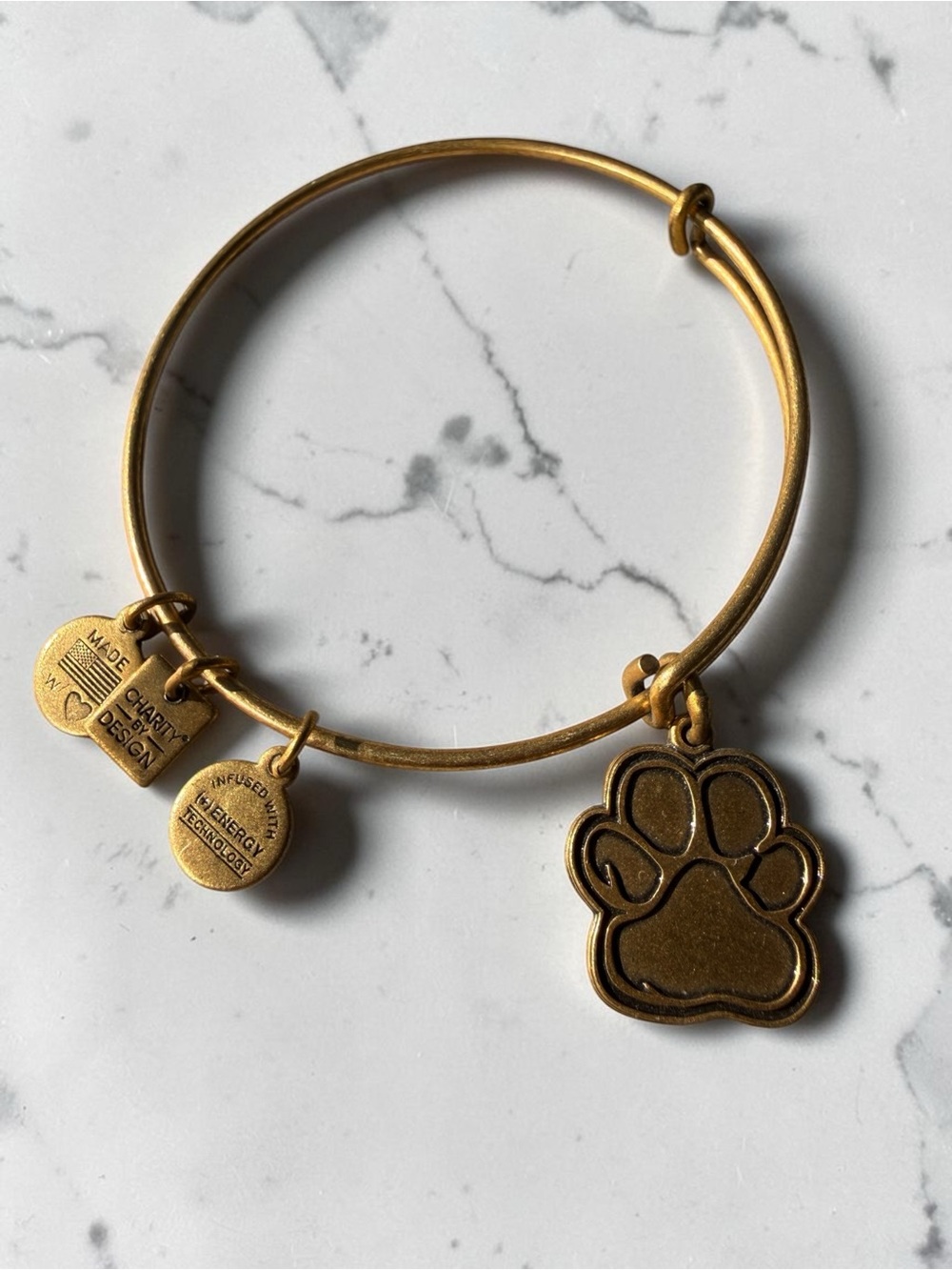 ALEX AND ANI Prints of Love Paw Print Expandable Bangle 2015 Boho Charity Gold